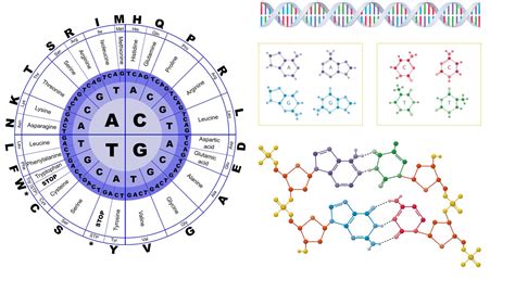 Eumyanggyeongjeon: Un Rileggere Il Cosmo Tra Lineamenti Essenziali E Simboli Inconfondibili!